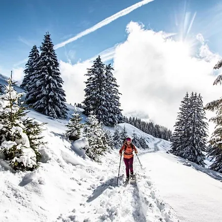 Apartment Gentianes Gnb66 Cosy & Mountain 3 Pers Chatel